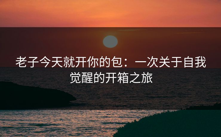 老子今天就开你的包：一次关于自我觉醒的开箱之旅