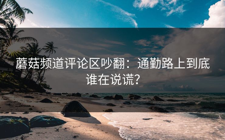 蘑菇频道评论区吵翻：通勤路上到底谁在说谎？